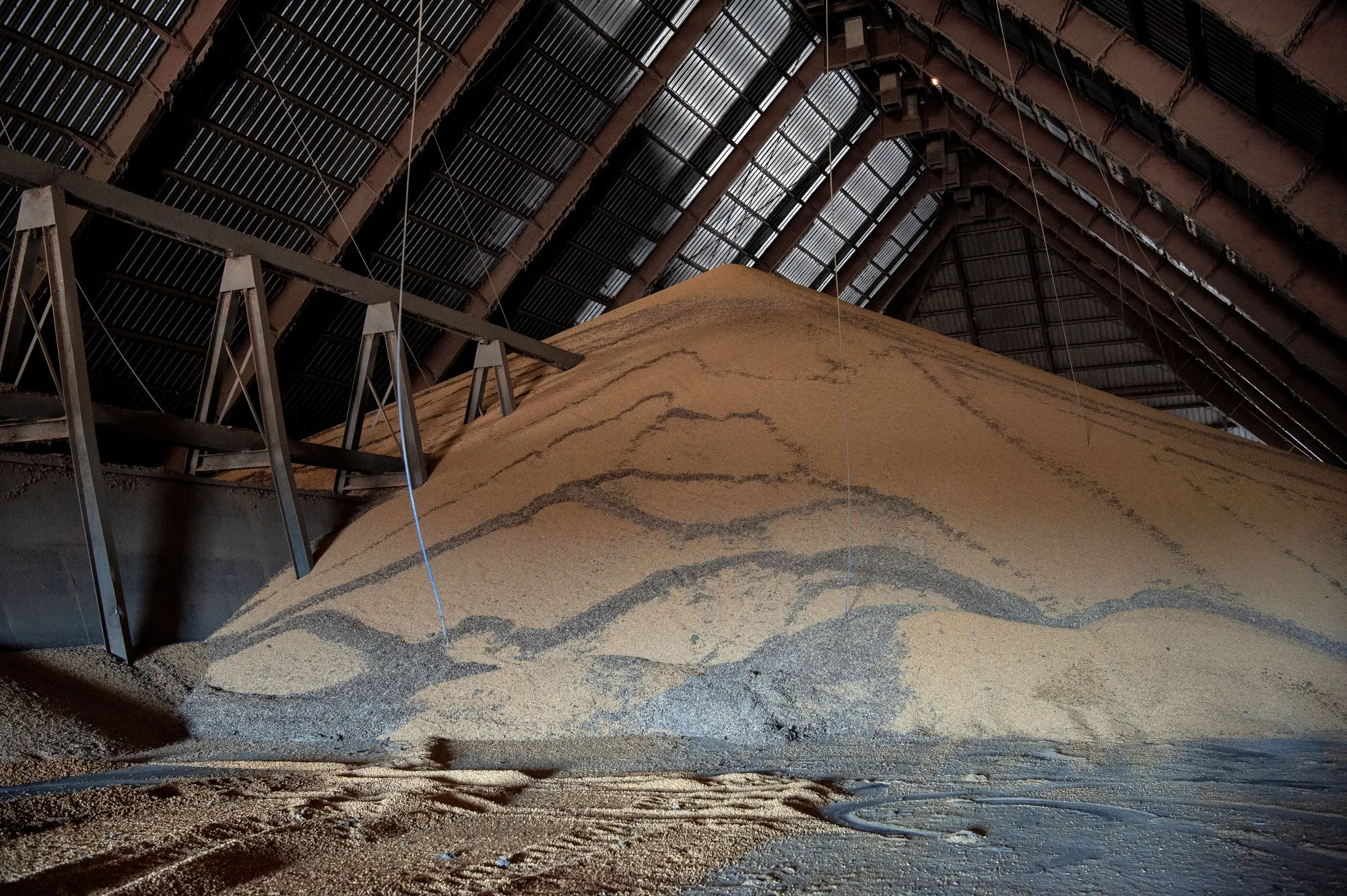 Soybean Processing As Soy Oil Hits Eight-Year High