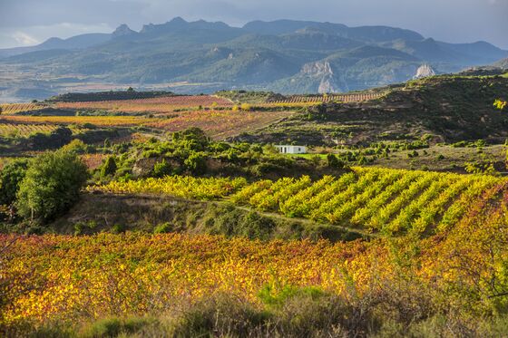 Around the World, the 2020 Wine Harvest May Be Most Troubled Ever