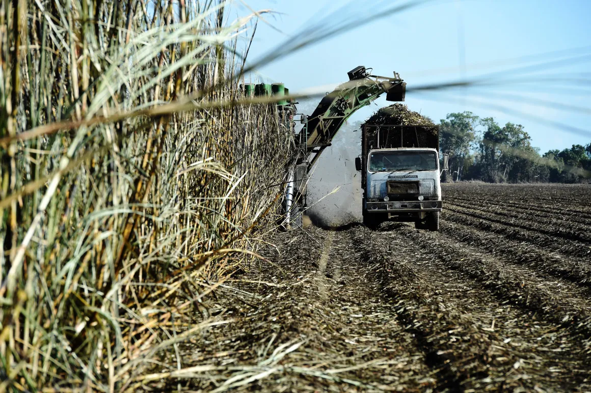 A harvester loads a truck with sugarcane at a plantation near Ayr, Queensland.