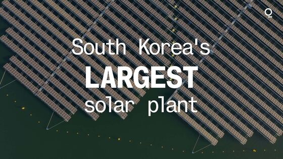 Giant Floating Solar Flowers Offer Hope for Coal-Addicted Korea