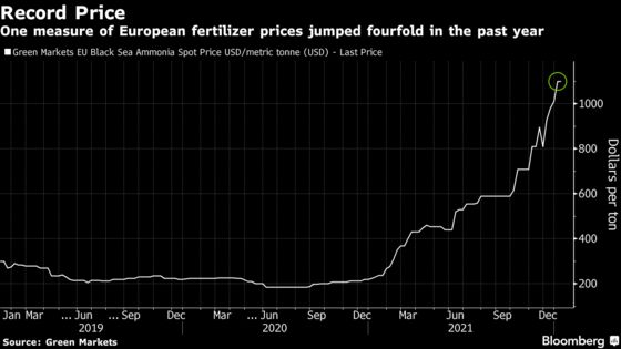 The Fertilizer Crisis Is Getting Real for Europe Food Prices