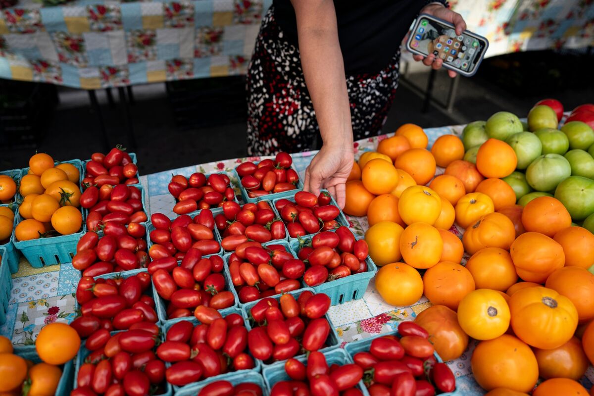 Why Your Summer Tomatoes Cost So Much
