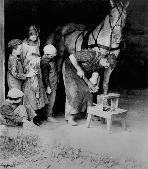 You too can grow up to be a farrier.
