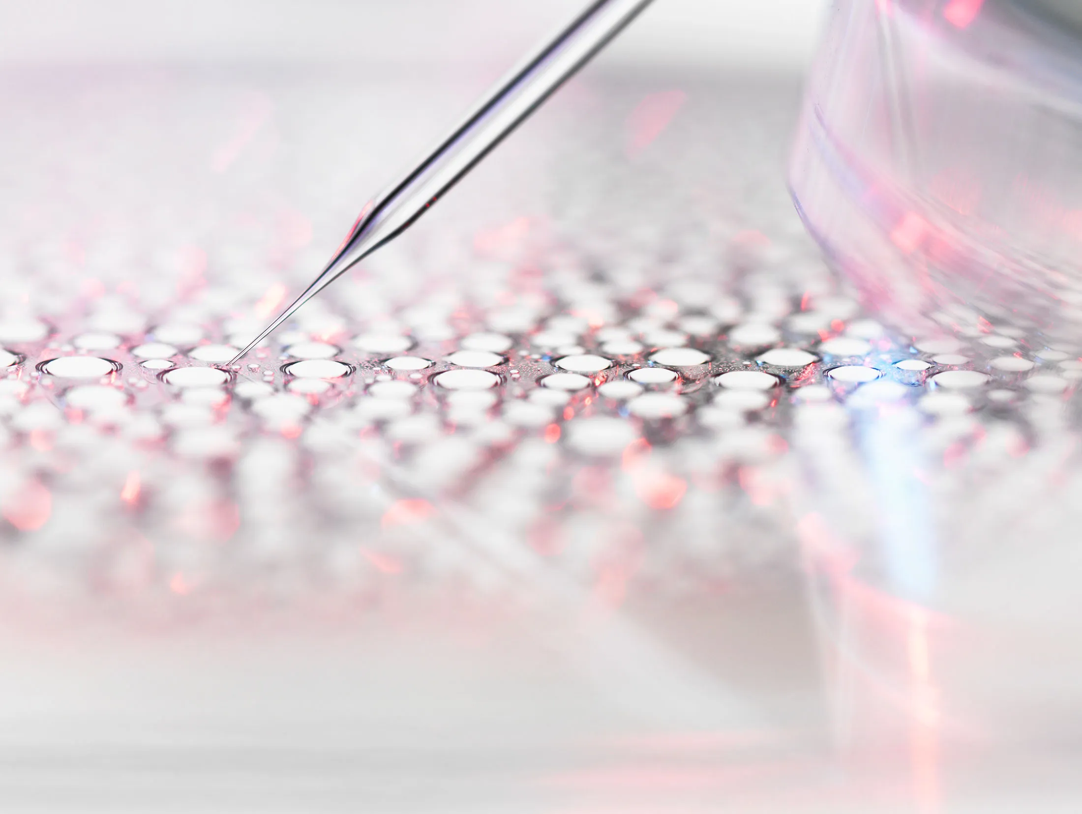 1470041245_CELGENE-STOCK