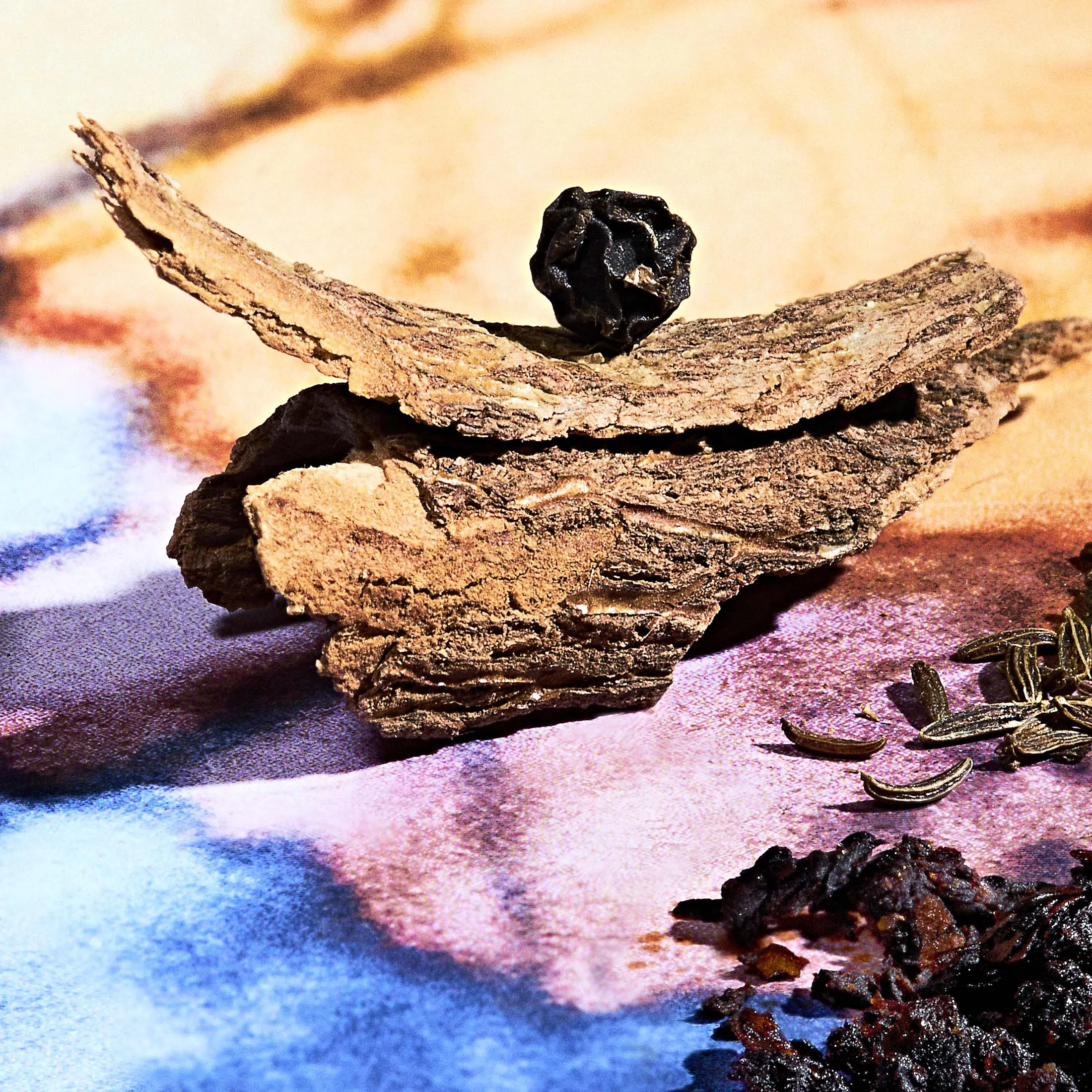 Spices from Burlap &amp; Barrel include cinnamon, black pepper, cumin, and chile.
