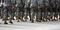 Most Men: Redstone Arsenal, Ala.