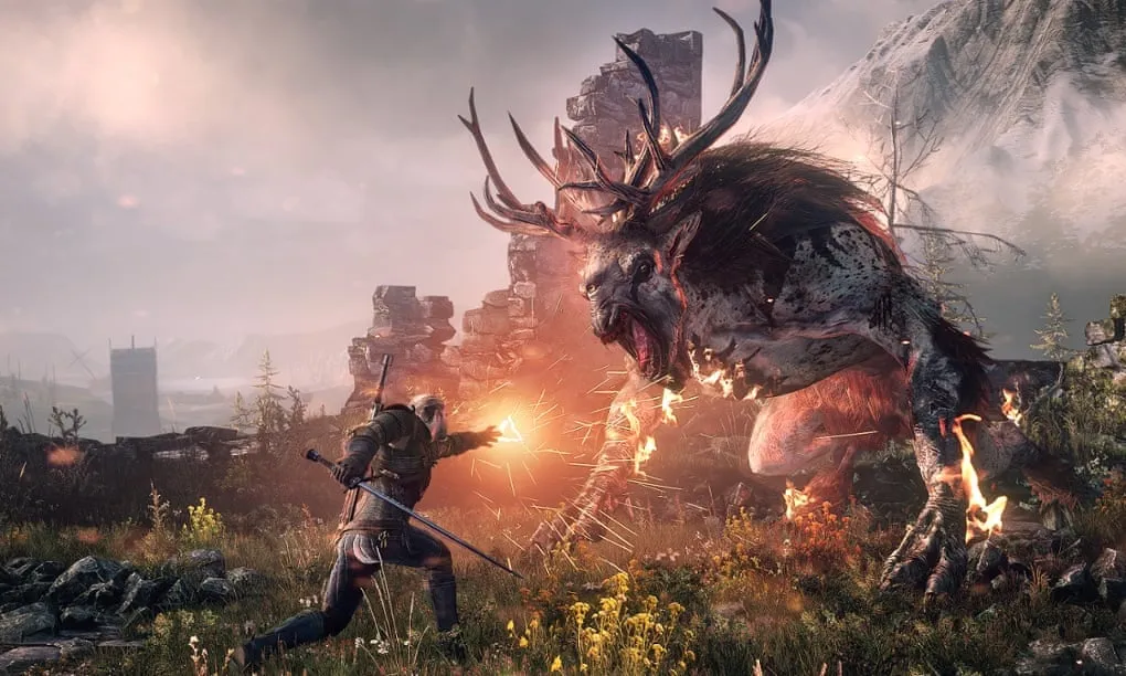Witcher 3.