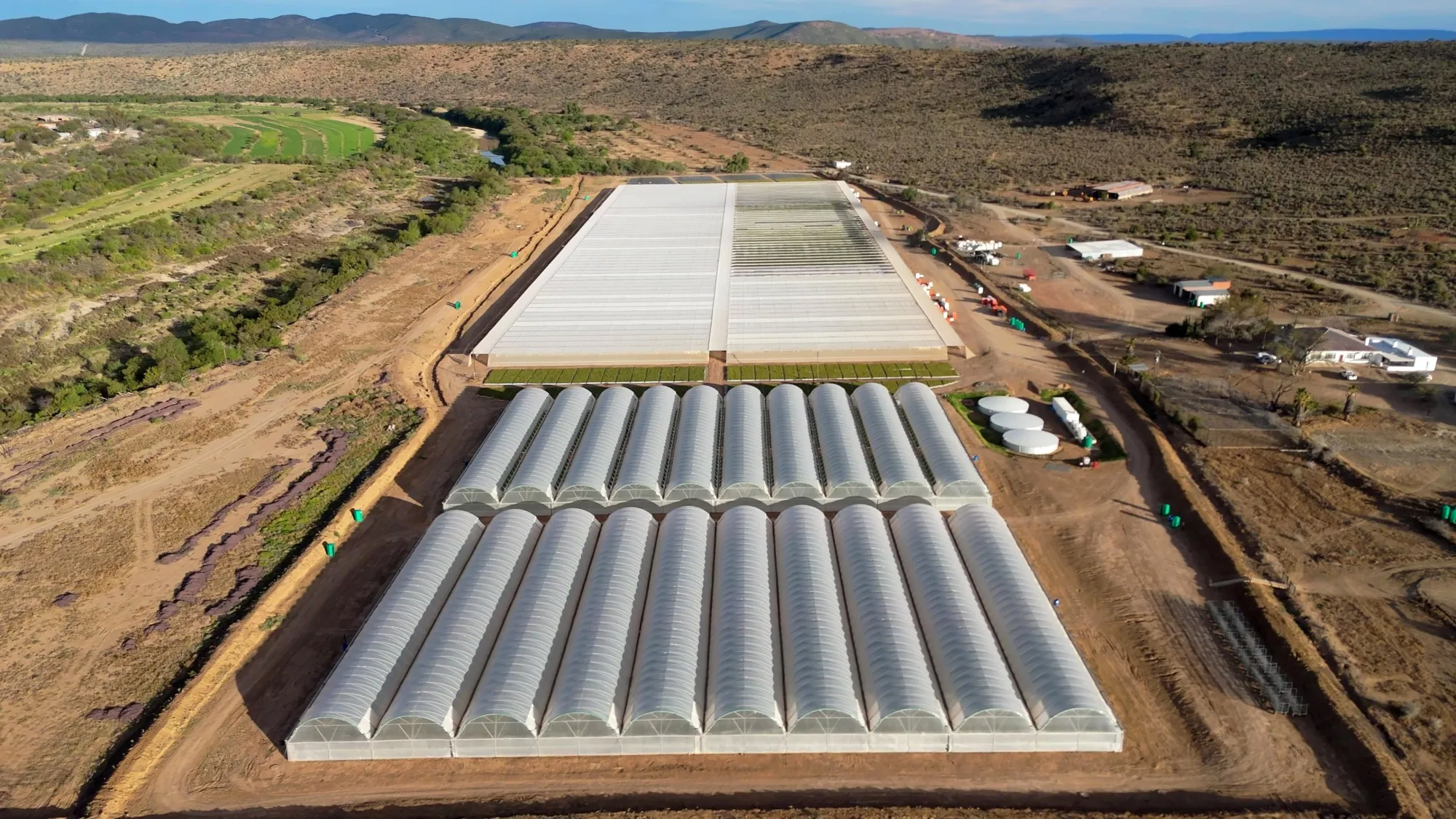 The Project Nursery on the Botterblom farm in the Eastern Cape.