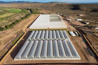 World Bank Teams Up With Amazon for a $120 Million Bacon Tree Bond