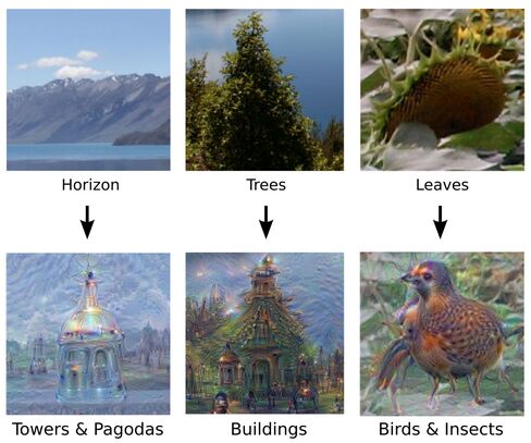 A few examples of how DeepDream might interpret basic structures and turn them into something more complex.