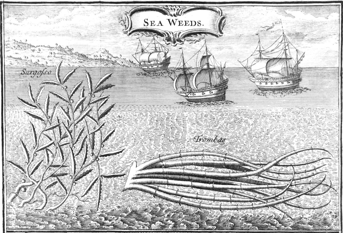 bloomberg.com - John Authers - Markets Are Serene in Their Summer Sargasso Sea