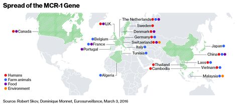 Spread of the MCR-1 gene through humans, farm animals, food and environment