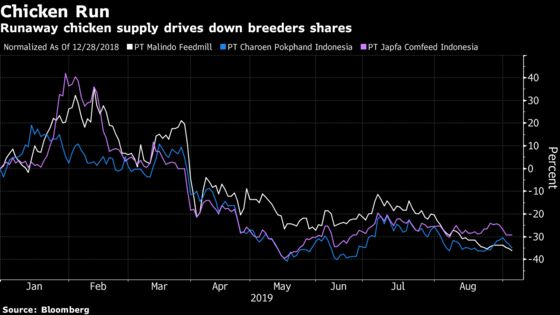 Indonesia Says Throw Eggs Away to Support Chicken Meat Prices