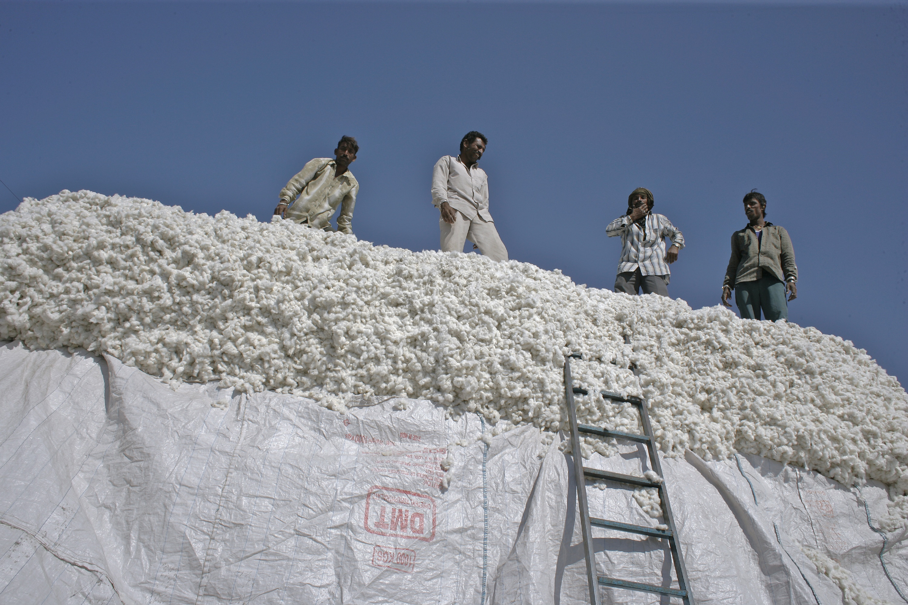 テキサス州で深刻な干ばつにより1億年前の恐竜の足跡が明らかに