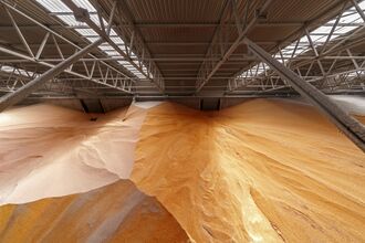 Cargill Inc.'s New Yuzhny Deepwater Grain Terminal 