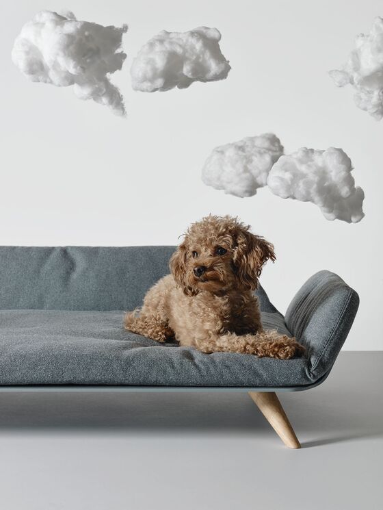 The One Time You Can Justify Spending $1,045 on a Dog Bed