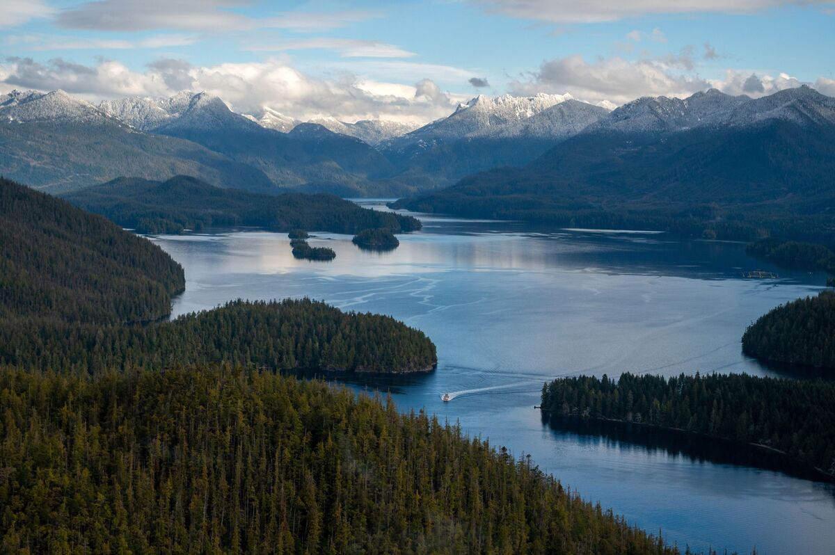 Destroying Biodiversity May Cost The World $2.7 Trillion A Year - Bloomberg