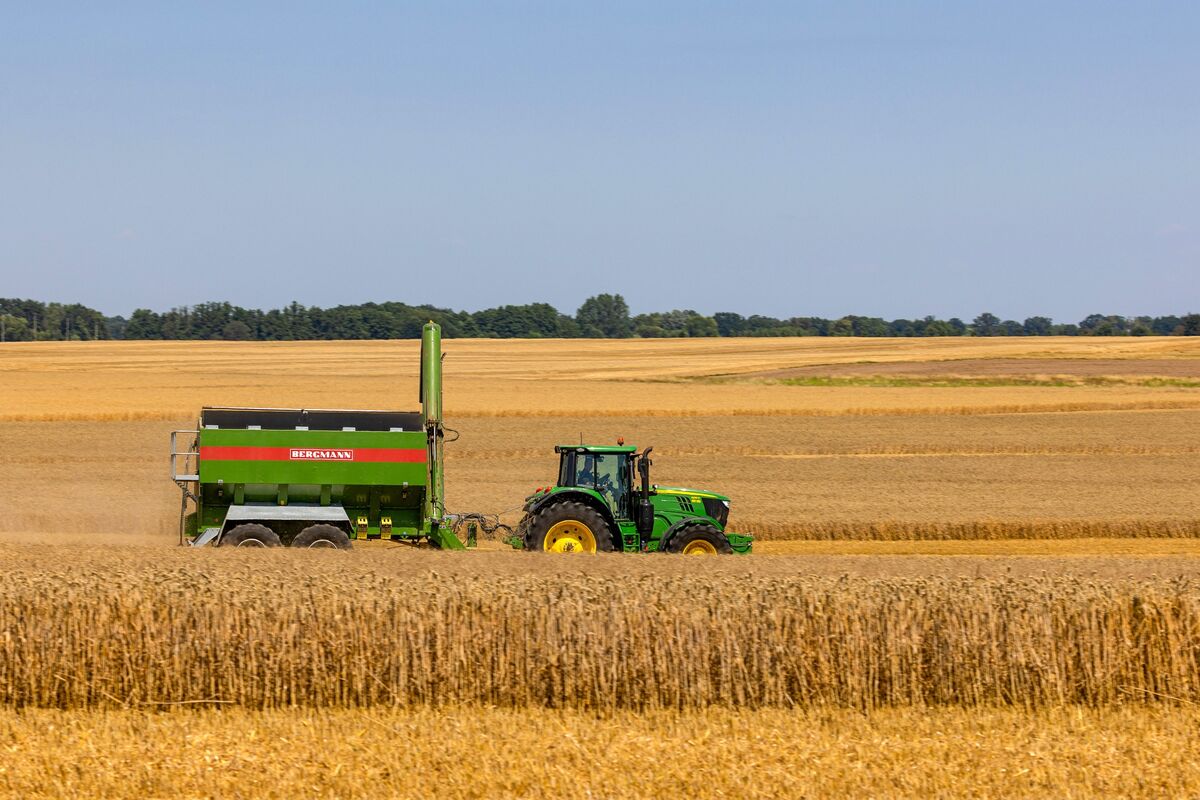 
                            EU Targets €1 Billion Saving With New Food, Feed Safety Package