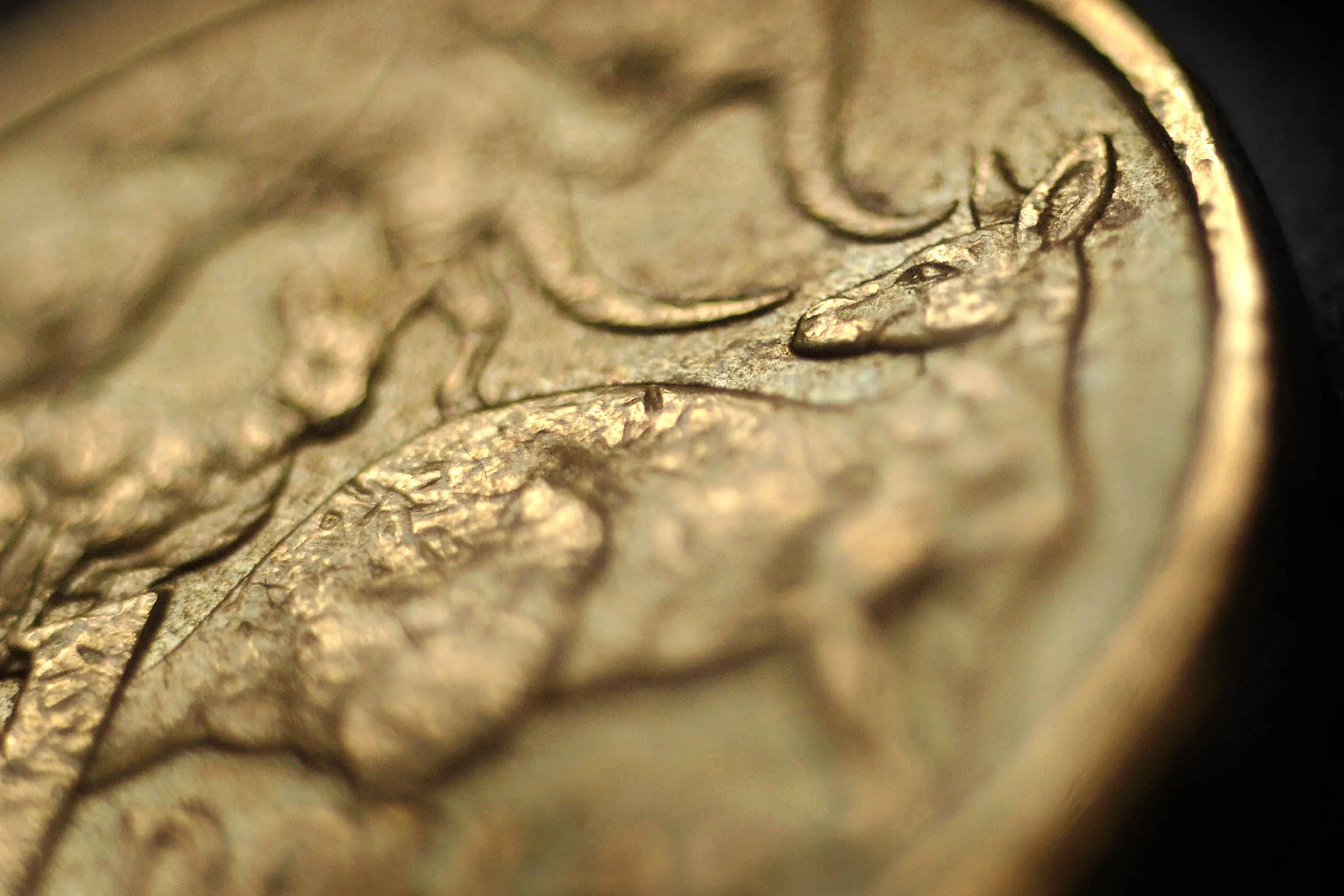 A Kangaroo is seen on an Australian one dollar coin in Sydney, Australia, on Tuesday, October 22, 2007.
