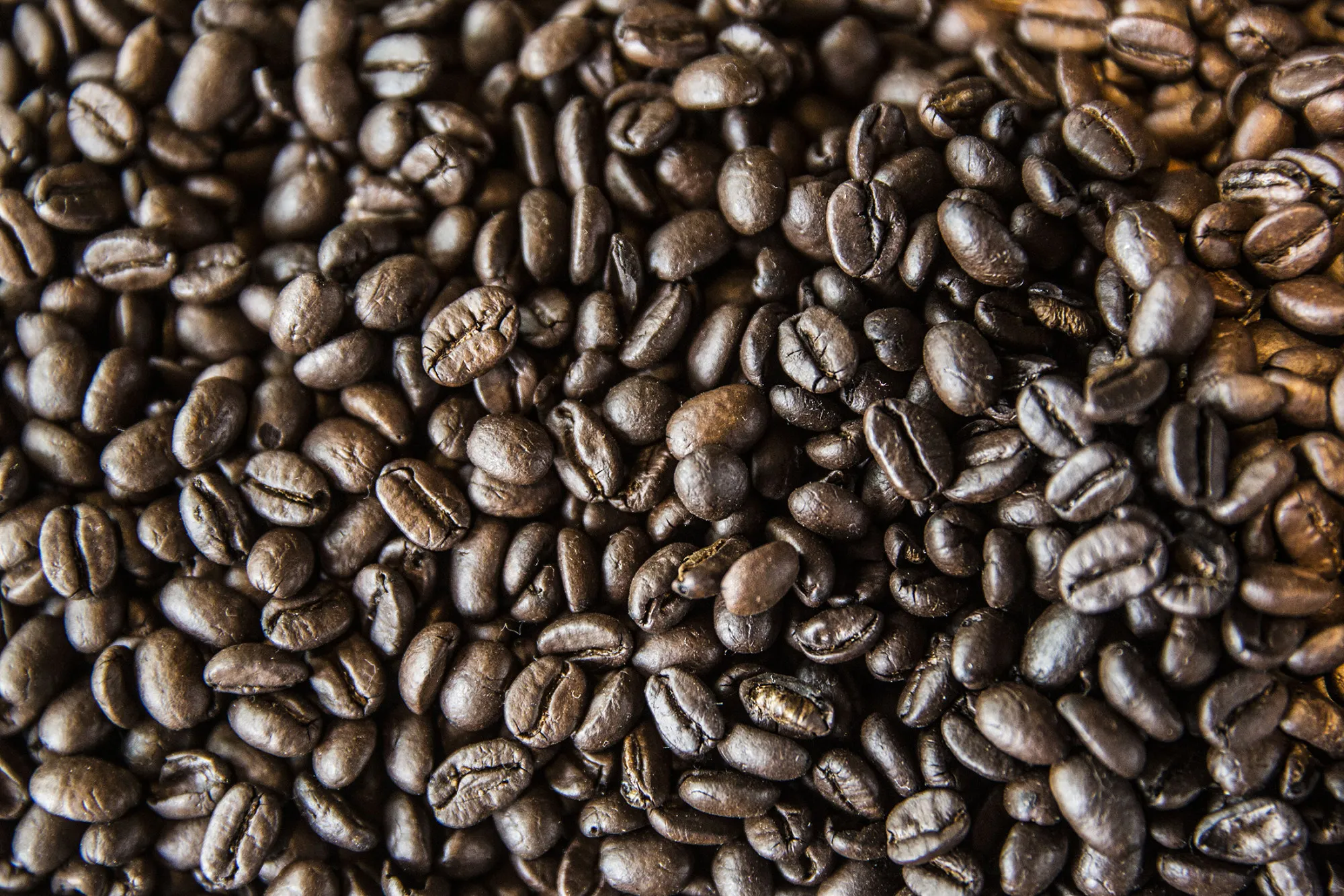 1489140159_BEANS