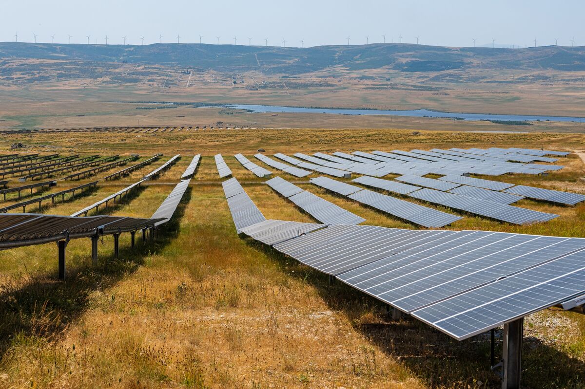 Solar Firm Pine Gate Turns to Advisers Amid Trump’s Anti-Green Push