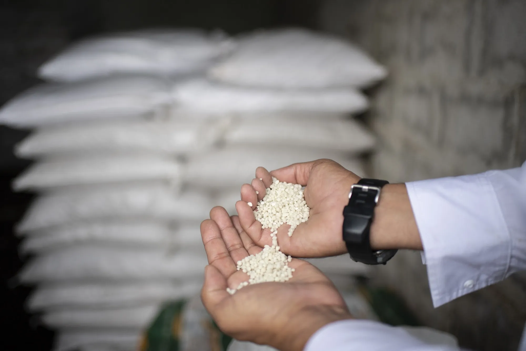 A farmer displays fertilizer pellets in Turen, Portuguesa state, Venezuela.