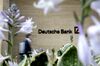 Deutsche Bank AG Slashes 18,000 Jobs in $8.3 Billion Overhaul