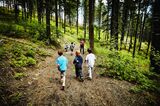 Group of young kids walking on trail in forest