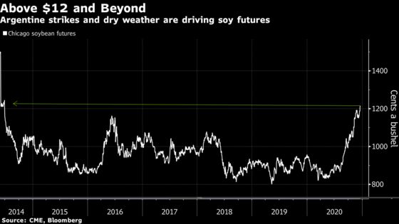 Soy Bulls Rampant as Prices Roar to Six-Year Highs on Argentina