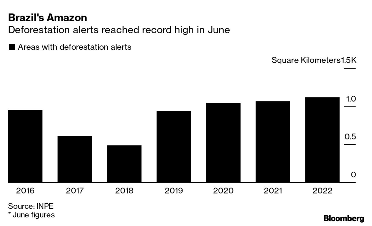 Deforestation Hits Record High in New Blow to Bolsonaro - Bloomberg