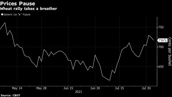 Wheat Tumbles as Traders Weigh Supply Woes Against Virus Worries