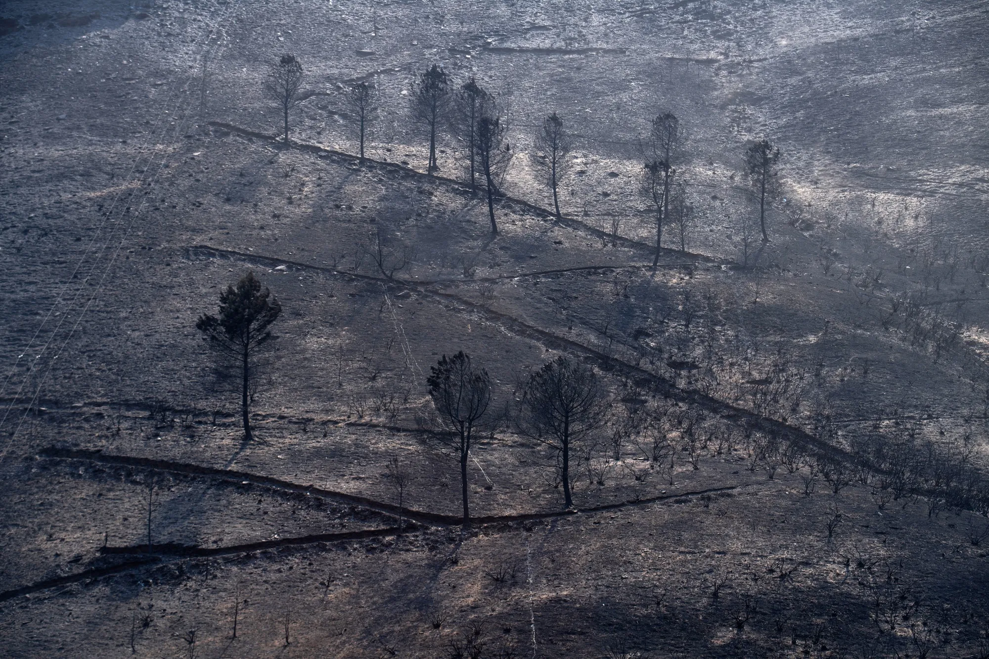 A burnt area following a wildfire in San Vicente de Leira in Ourense province, Spain, on Aug. 19.