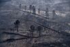 TOPSHOT-SPAIN-WILDFIRE-CLIMATE-WEATHER