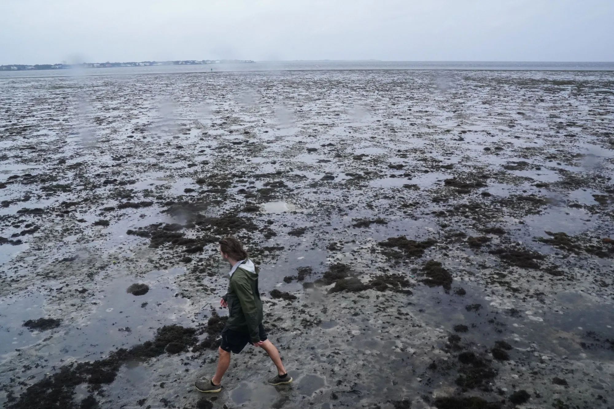 Hurricane Ian’s Brutal Winds Are Sucking Water Out of Tampa Bay - Bloomberg