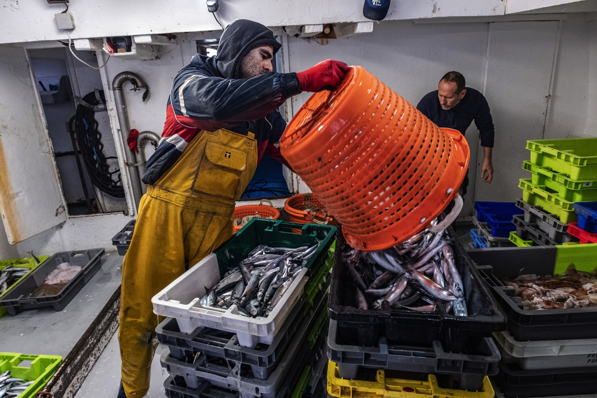 Fishermen sort crates of freshly caught fish at the harbor in Sete, France, on Tuesday, Dec. 1, 2020.&nbsp;