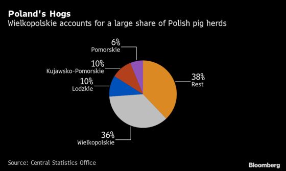 Deadly Pig Virus Reaches Poland’s Top Pork Area