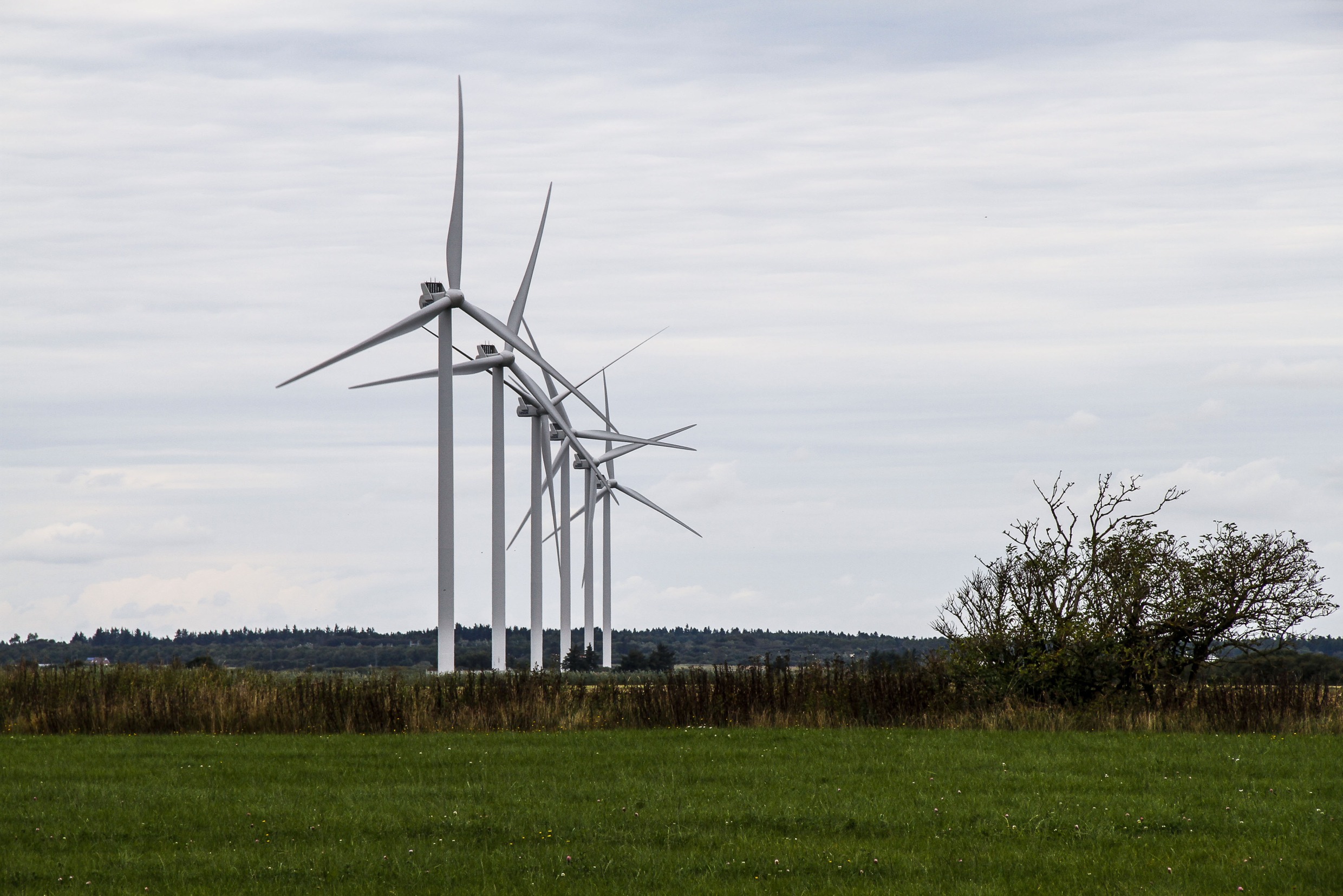 Wind turbines, manufactured by Vestas Wind Systems, in a field near Lem, Denmark.