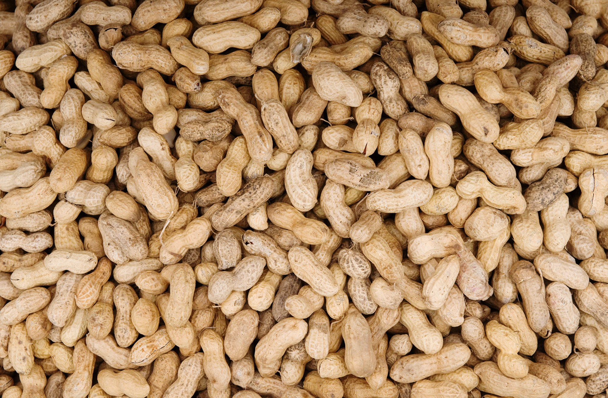 Peanuts are offered for sale at Eastern Market on Capitol Hill in Washington, DC, on June 27, 2008.
