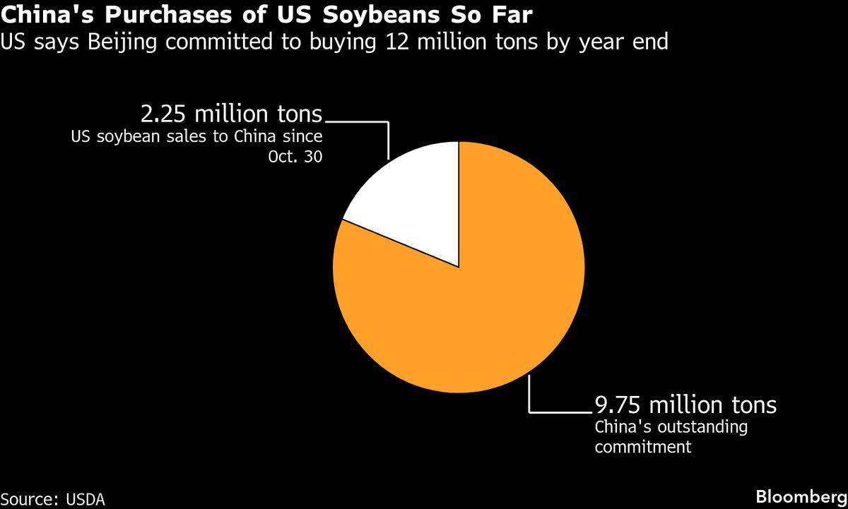 Trump to Unveil $12 Billion in Long-Awaited Farm Aid Program.