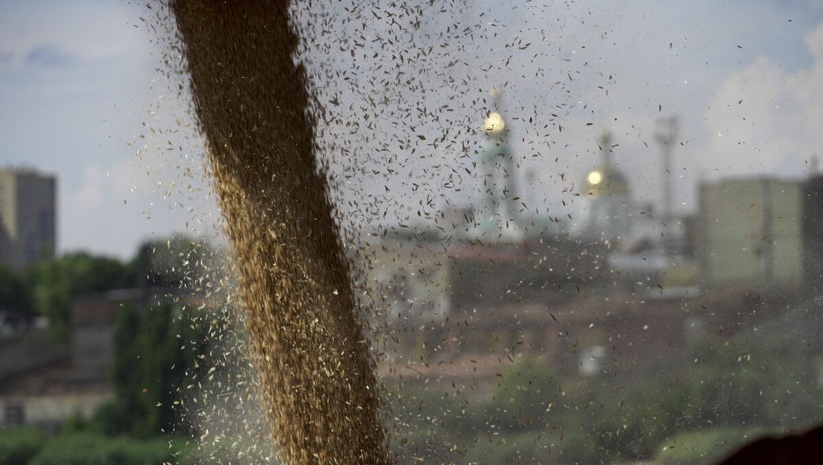 Russia’s Grain Rerouting Falls Short as War Hits Black Sea Ports