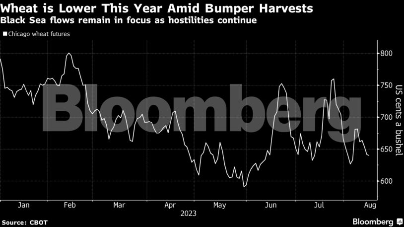 Wheat is Lower This Year Amid Bumper Harvests | Black Sea flows remain in focus as hostilities continue