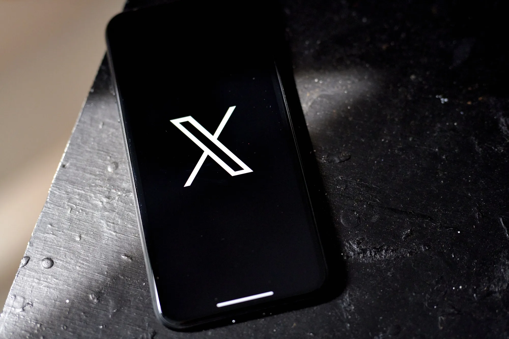 Musk Declares Fan-Submitted 'X' New Twitter Logo In Abrupt Shift