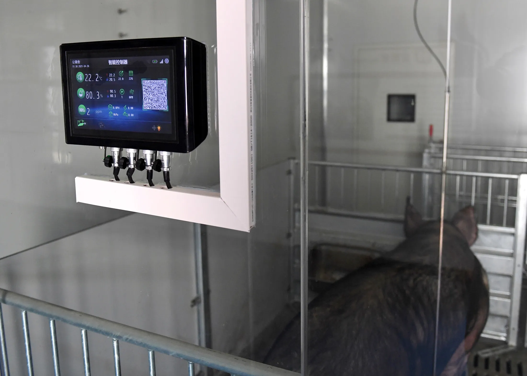 An automatic temperature and humidity controller at a pig farm in Jiaxing, Zhejiang Province, earlier in April.