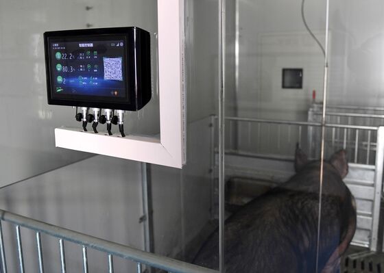 China’s Putting Pigs in 13-Story ‘Hog Hotels’ to Keep Germs Out
