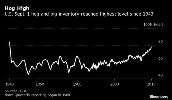 Biggest Pig Herd Since World War II Keeps U.S. Farmers From Cashing in on Demand