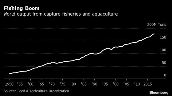 Blockchain Will Let You Track Salmon From Sea to Dinner Plate