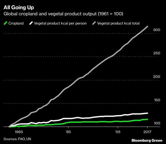 Peak Beef Is Better Climate News Than You Thought