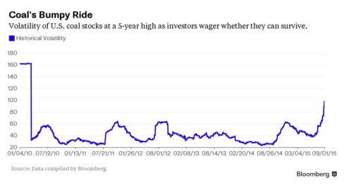The volatility of U.S. coal stocks is at the highest level since March 2010 as investors wager whether they can survive an unprecedented downturn.