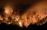 A&nbsp;wildfire rages&nbsp;in the Bohemian Switzerland National Park in Hrensko,&nbsp;Czech Republic,&nbsp;on July 26.