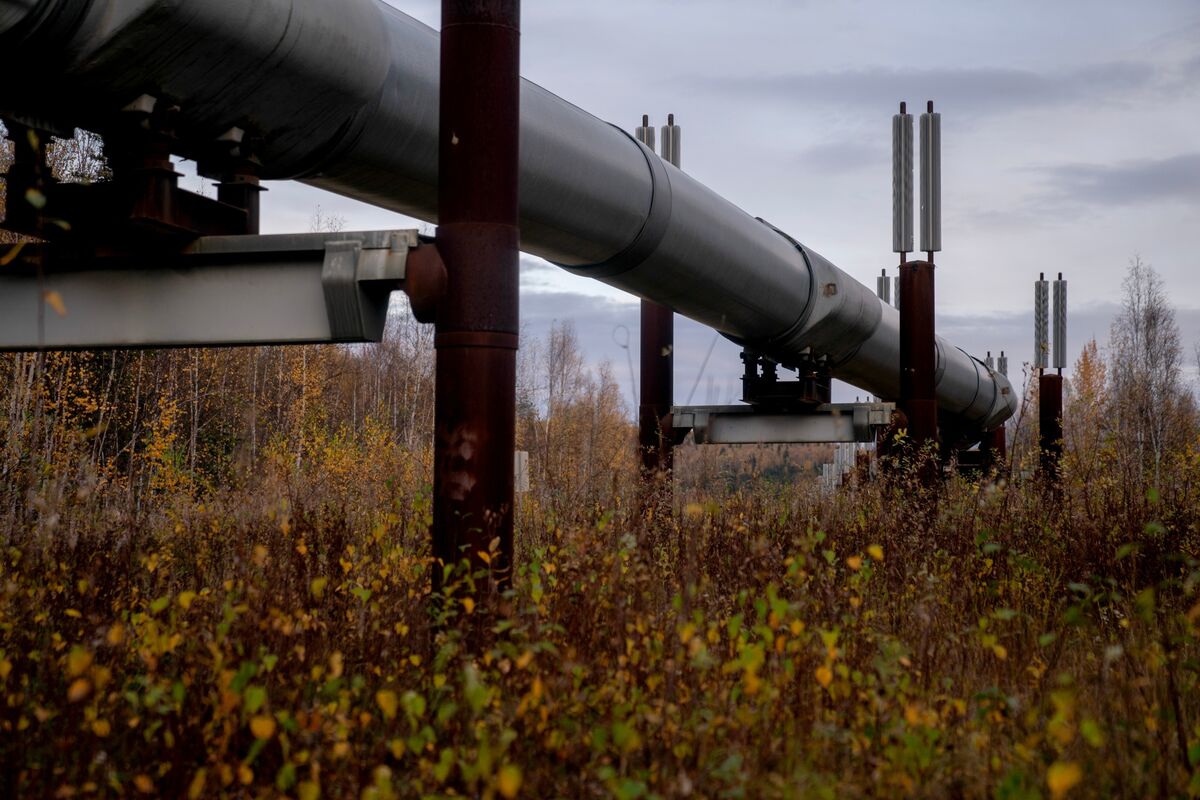 Lessons From the One Sovereign Wealth Fund in the United States